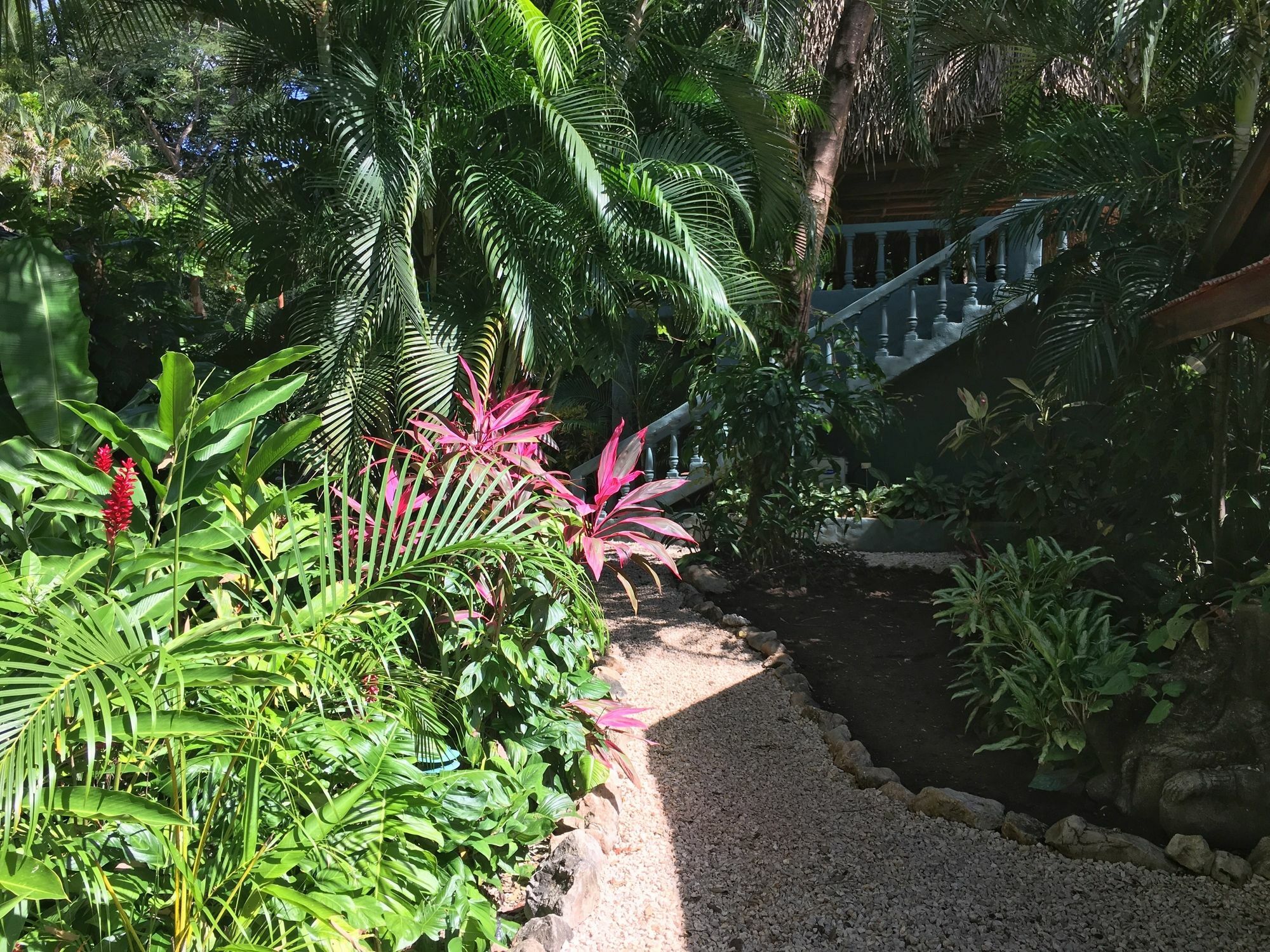 נוסארה Harbor Reef Hotel מראה חיצוני תמונה